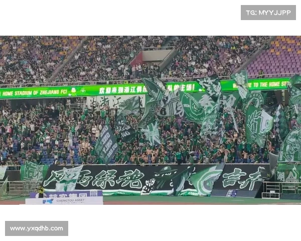 中超新赛季精彩开启 球迷热情高涨助力中国足球腾飞 中超新赛季精彩开启 球迷热情高涨助力中国足球腾飞